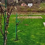 Lila Mostar